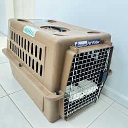 Dog Kennel With Toys 