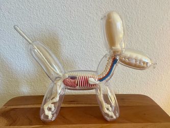 Jason Freeny 4D Master Funny Anatomy Balloon Dog