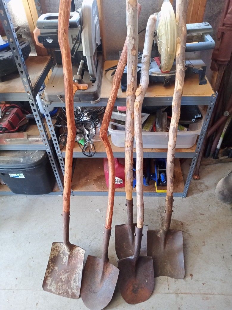 Shovels 5#