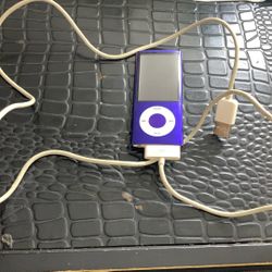 Jogging Size Apple iPod Purple 