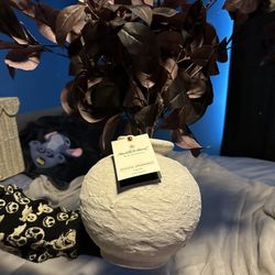 Multiple Ceramic And Glass Pots