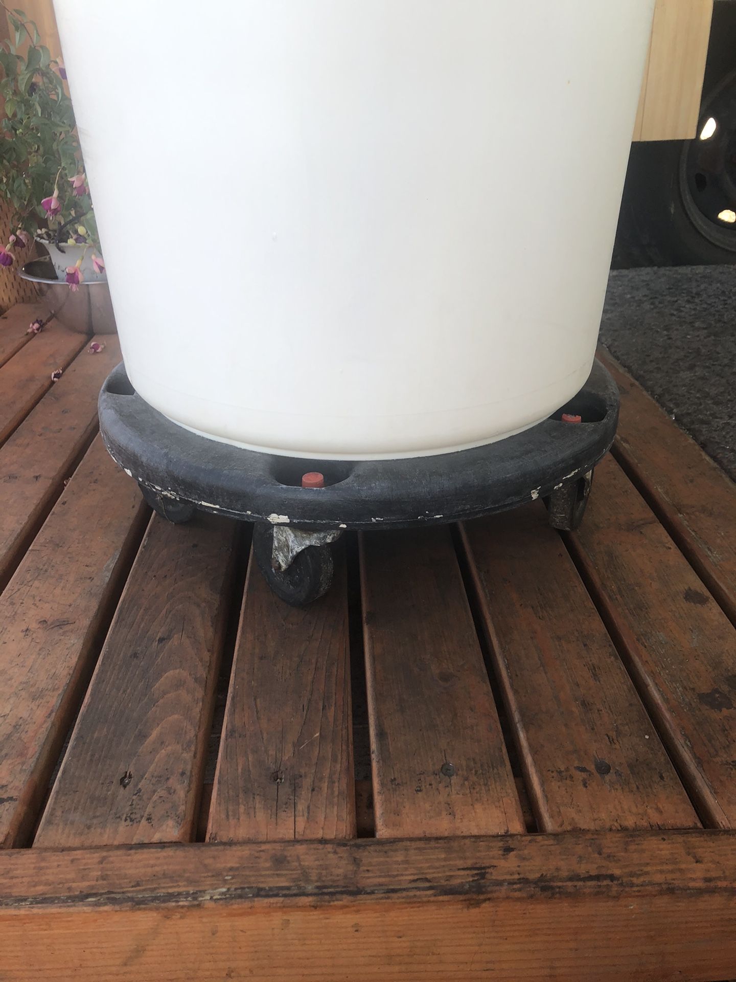 Container