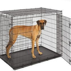 Crate Needed For Service Dog