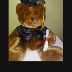 New Graduation Teddy Bears And Party Favors 