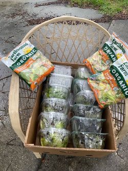Lots of good salads