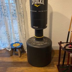 Everlast standup punching bag