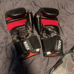 MMA Sparing Gloves Level 2