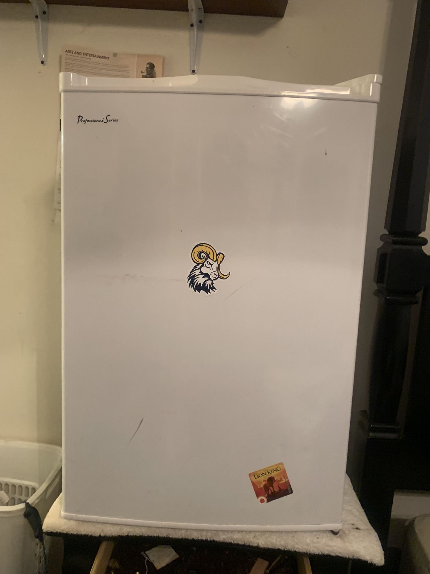 Mini Fridge