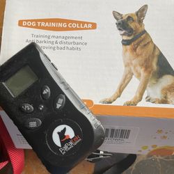 Dog Training Collar