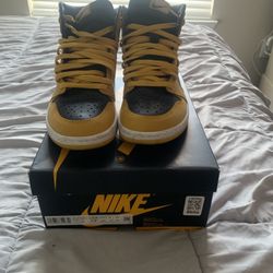 Jordan 1 Pollen
