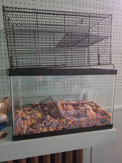 Rodent cage set up
