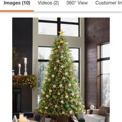 9. 5 Foot Jackson Fir LED Pre-Lit Christmas Tree
