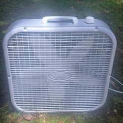 20 Inch Fan