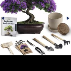 Purple Bonsai Tree Starter Kit’s!!