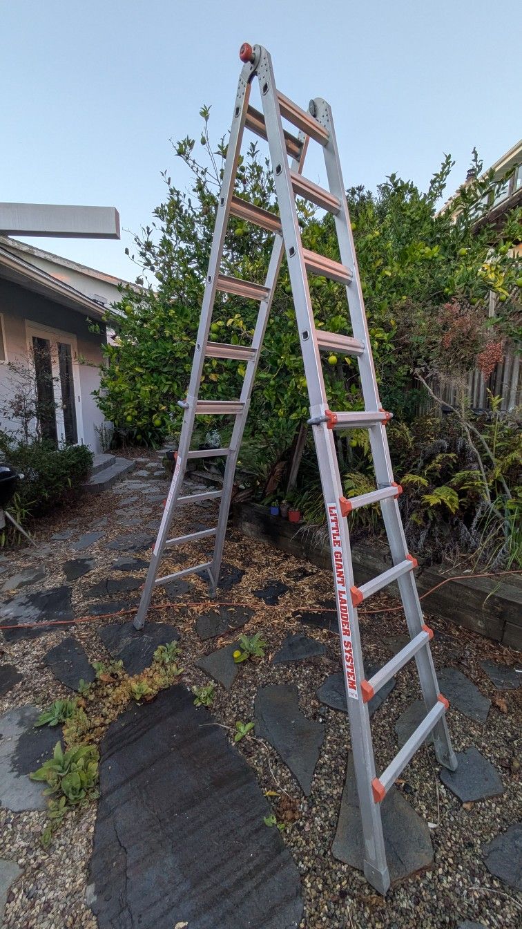 Little Giant Ladder 19 ft