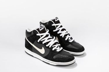 Nike Dunk High Pro SB Venom 2010