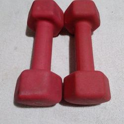 Pair Of 5 Lb Rubber Coated Dumbbells 10 Lb Total Weight