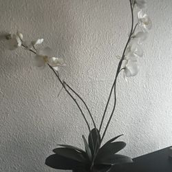 Fake Plant (orchid) 