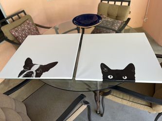 Dog and Cat Pictures