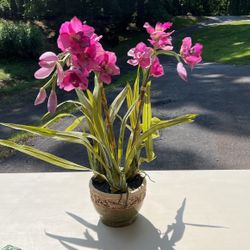 Flower Arrangement 