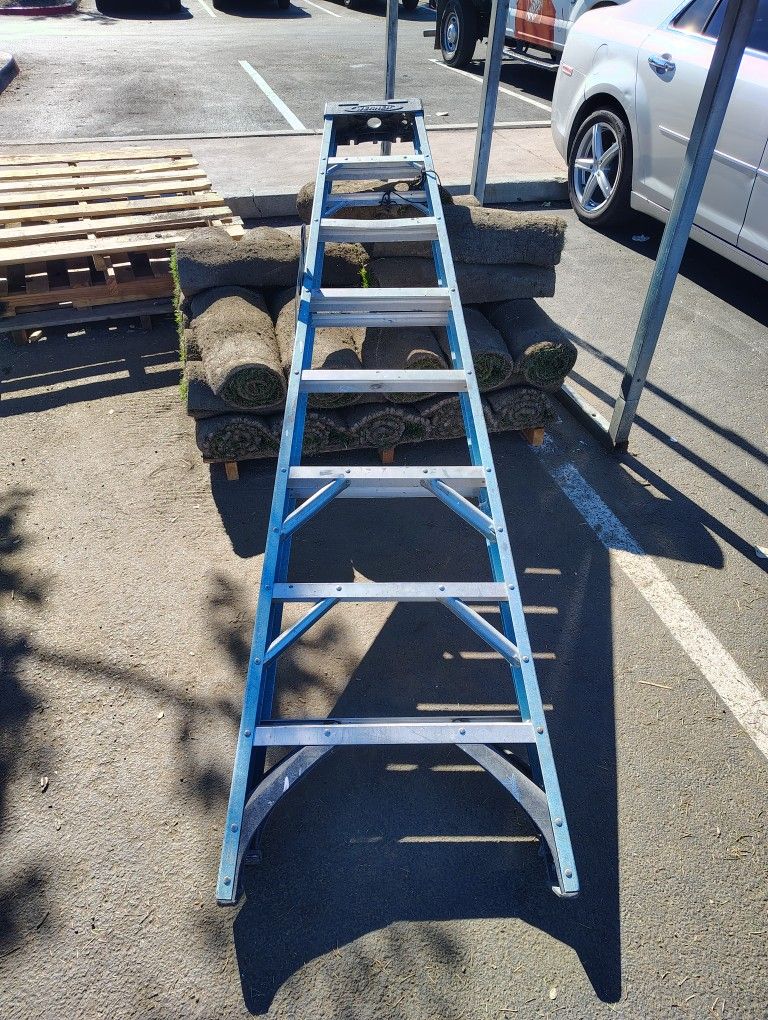 Ladder 10 Ft