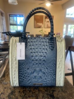 Brahmin Caroline purse