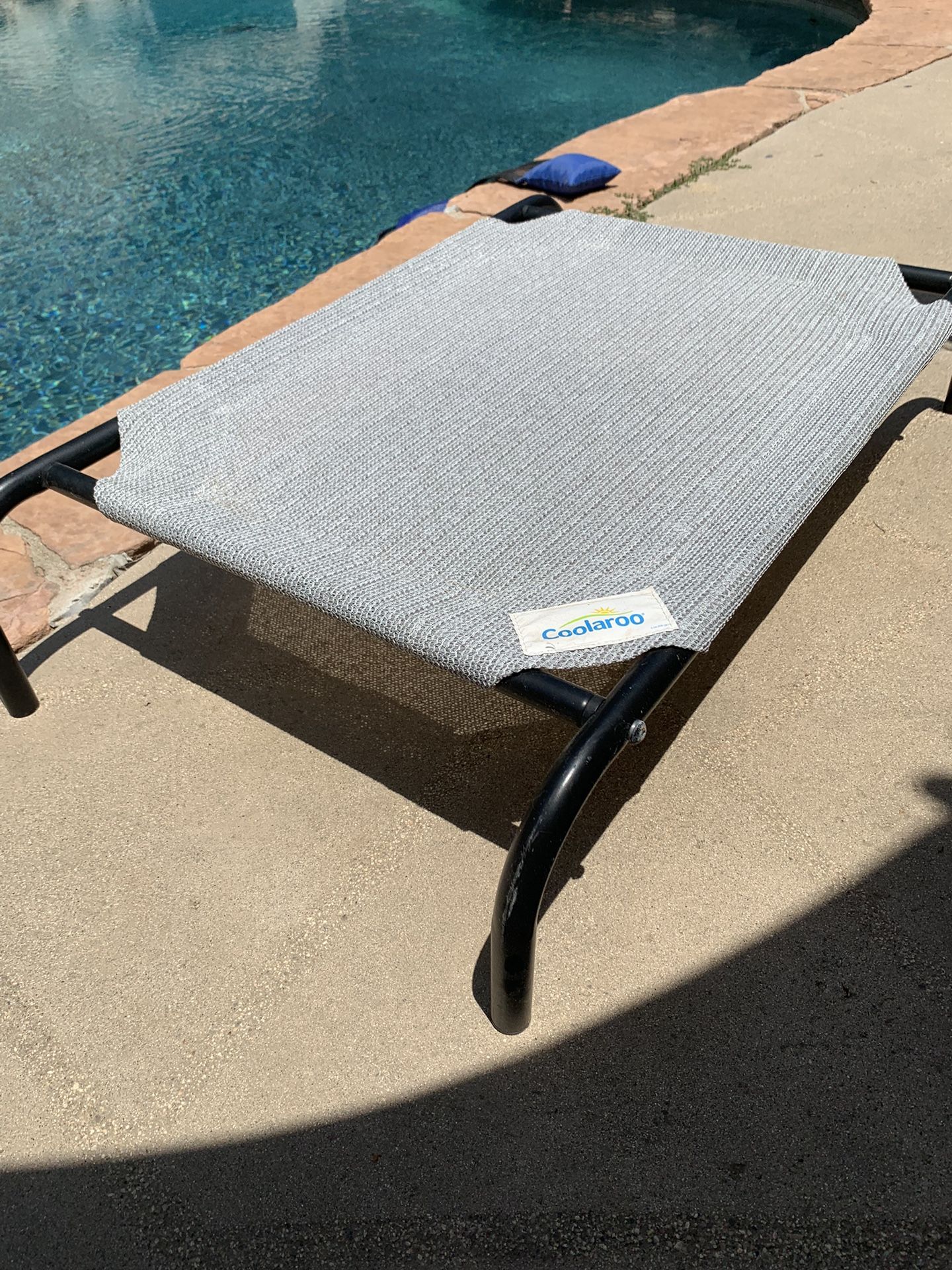 Raised Dog Bed