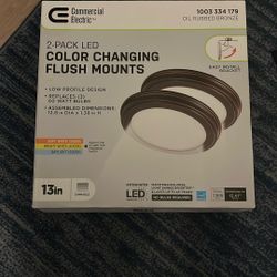 Color Changing Ceiling Lights 