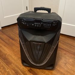 Bluetooth Party Speaker