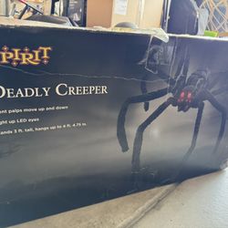 Halloween Spider