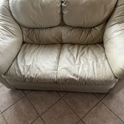 Leather Sofa And Live Seat 