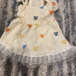 Dog Dress