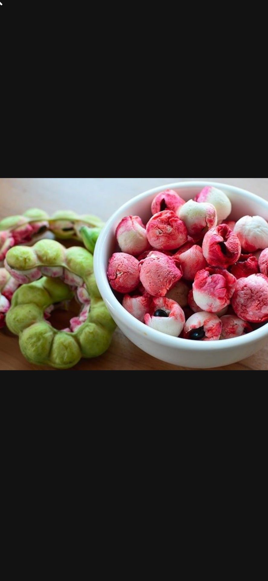 Exotic Guamuchil ( Pithecellobium dulce - over 10 Feet High)