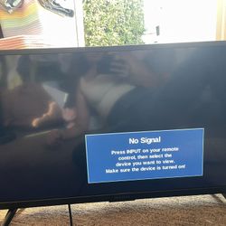 Insignia 32” TV - no remote but fire stick and Roku will hook up just fine