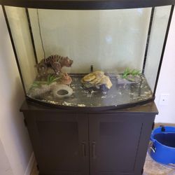 Used 36 Gallon Aquarium /w Stand