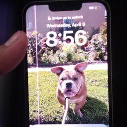 iPhone 13 (Broken)