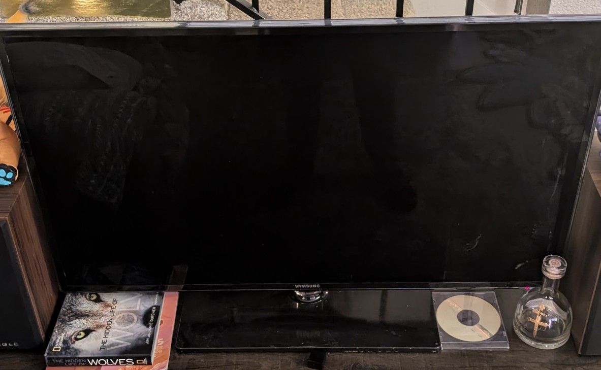 Elegant 43" Samsung TV