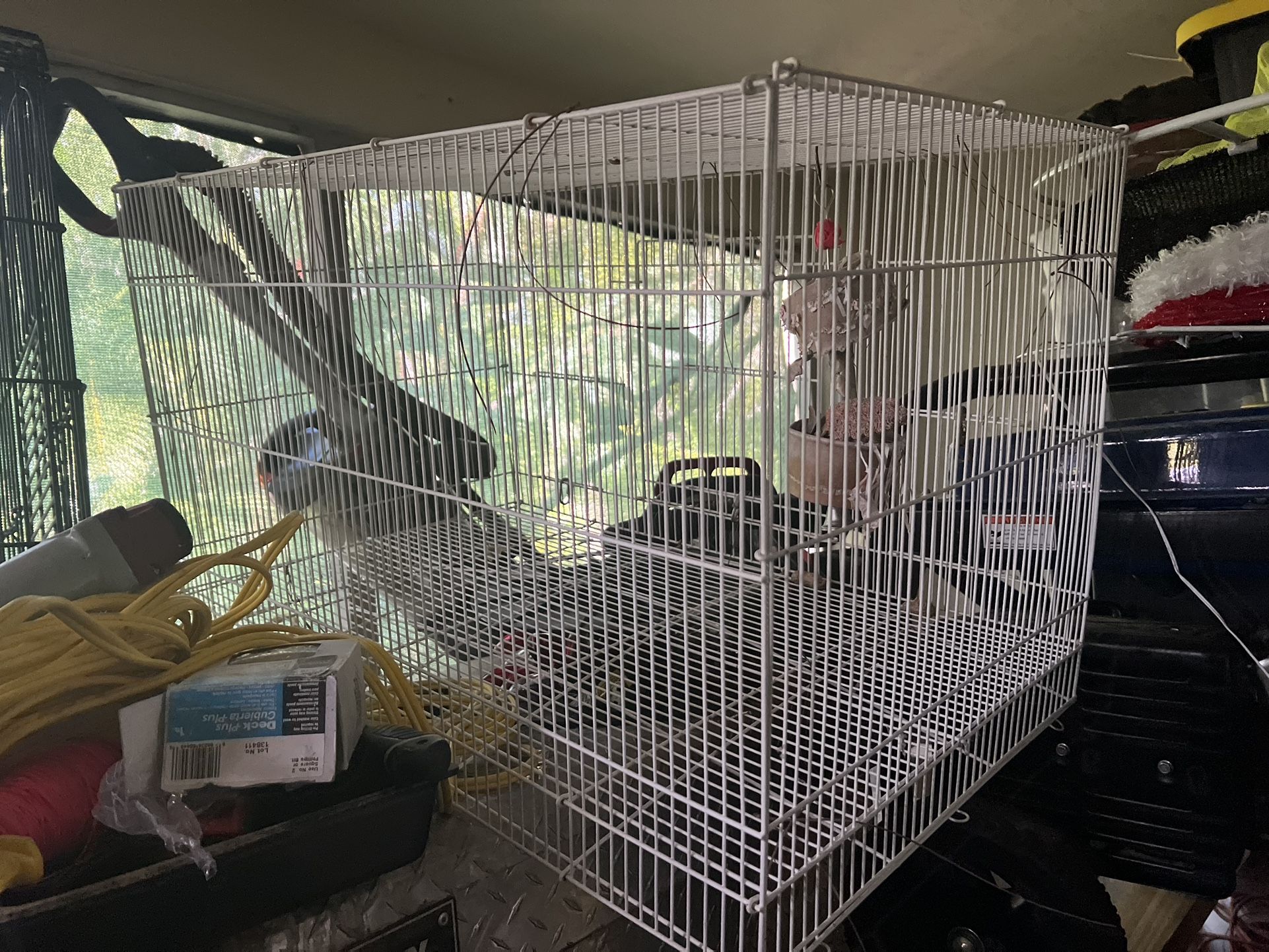 Bird Cage