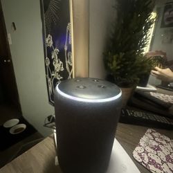 Alexa 