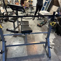 Bench (No Barbell)