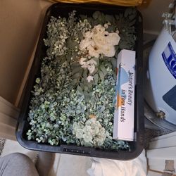 Gake Greenery Vines Etc.