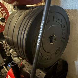 Rogue Bumper Plates For Sale Like New Rarely Used 