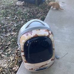 Cat Backpack (Great Condition)
