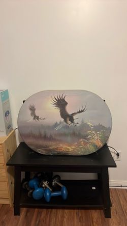 American bald eagle