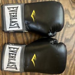 Everlast Boxing Gloves 