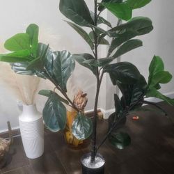 Fig Plant Fake 