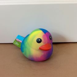 Squishy Duck