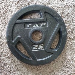 25 Lb Plate Weight 