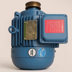 ABB 22 kW Three-Phase Induction Motor