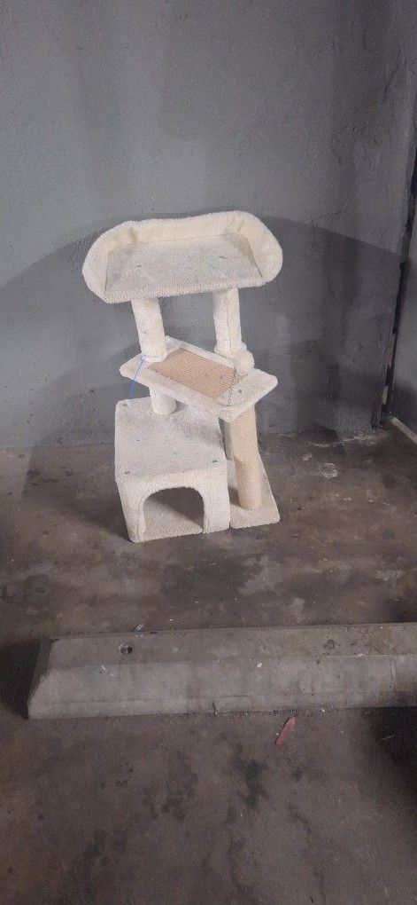 Cat Climbing Scratch Post